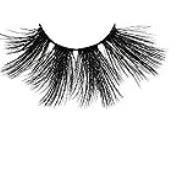 Lit lash bar